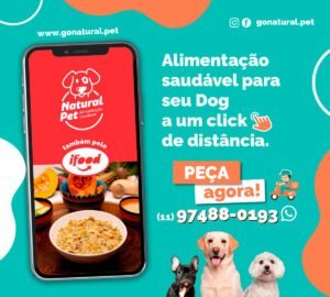 Campanhas no Facebook e Instagram
