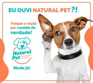 Campanhas no Facebook e Instagram