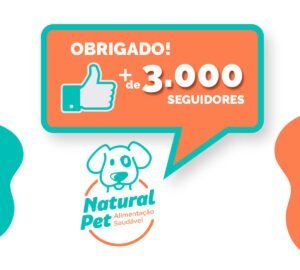 Campanhas no Facebook e Instagram