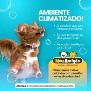 ambiente climatizado