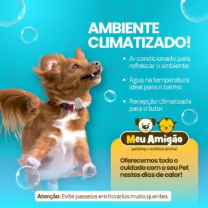 ambiente climatizado