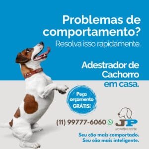 jp adestramento