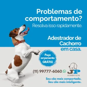 jp adestramento