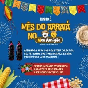 mês do arraia