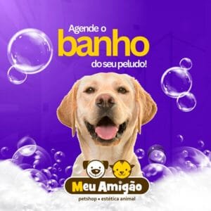 agende o banho