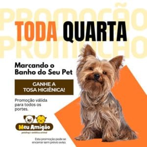 toda quarta